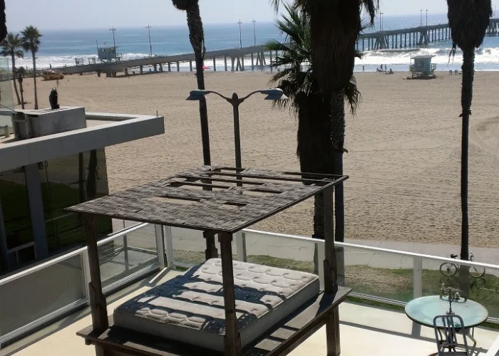 Beachfront with a palm tree and a metal frame structure